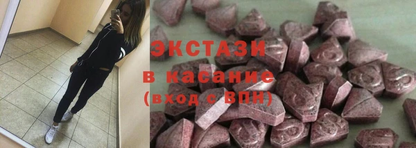СК Гусев