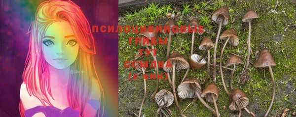 спайс Гусиноозёрск