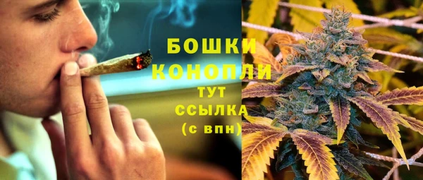 СК Гусев