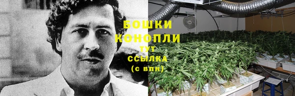 СК Гусев
