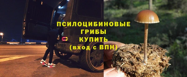 СК Гусев